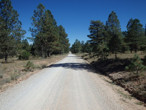 GDMBR: Northbound on NF-50 (Cibola National Forest, NM).